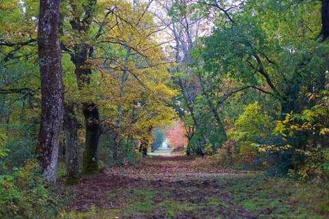 Off site, Natural landscape, Autumn, On site