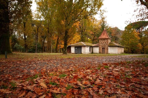 Natural landscape, Autumn, On site