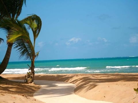 Stunning Oceanfront Villa - 8190 Apartment in Rio Grande