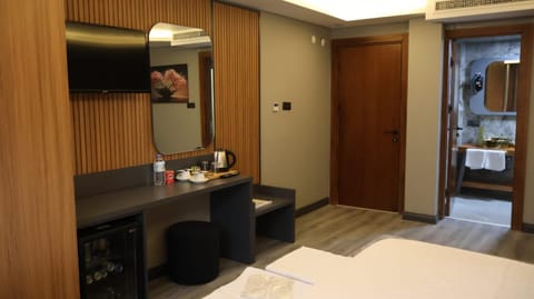 TV and multimedia, Photo of the whole room, minibar