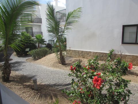 BCV - Private 1 Bed Apartment Dunas Resort 1340 and 6002 Condo in Cape Verde