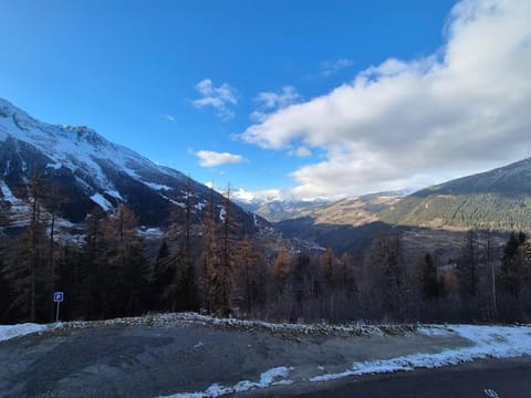 Superbe appartement 3 pièces - St Foy Station Apartment in Sainte-Foy-Tarentaise