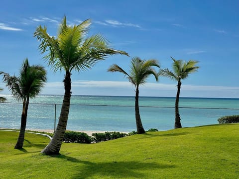 U-GO CapCana Punta Palmera Frente al Mar Apartment in Punta Cana