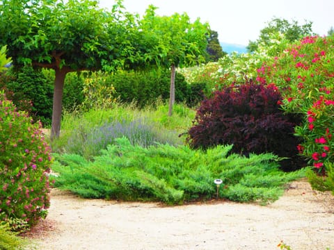 Maset de Castanyer House in Baix Ebre