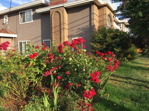 Property building, Garden, Garden view