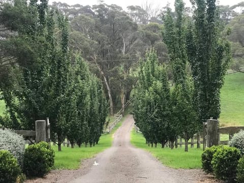 Facade/entrance, Garden