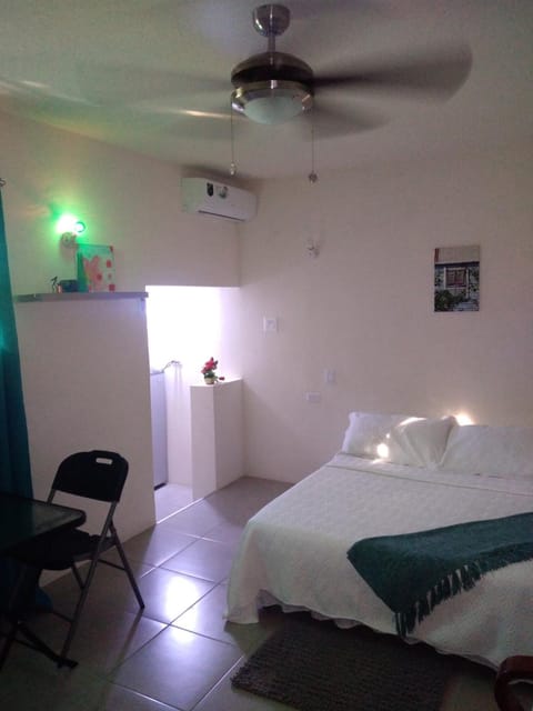 Almond Palm Apartment Apartment in Bridgetown