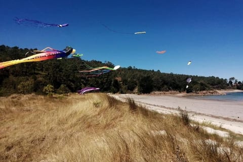 Day, Natural landscape, Beach