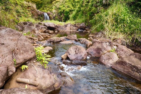 Kikala Waterfall Lodge Nature lodge in Big Island