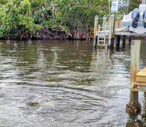 The Fish Shack Haus in St James City