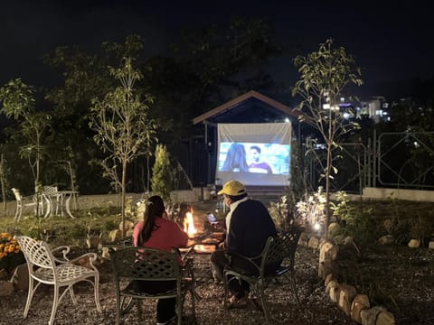 People, Garden, Evening entertainment, group of guests