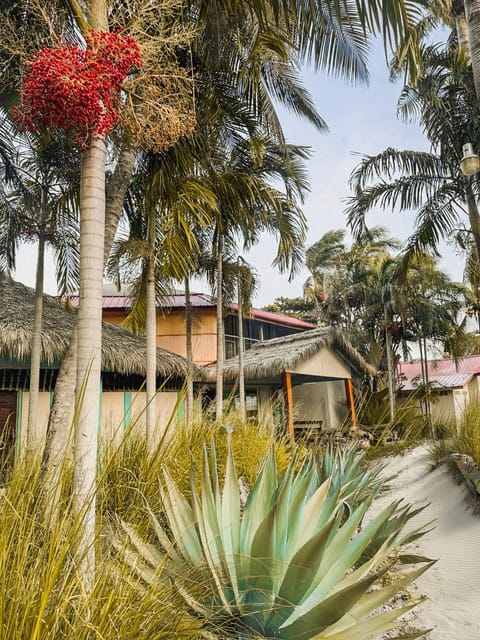 Van Rey Farms Hotel in Stann Creek District