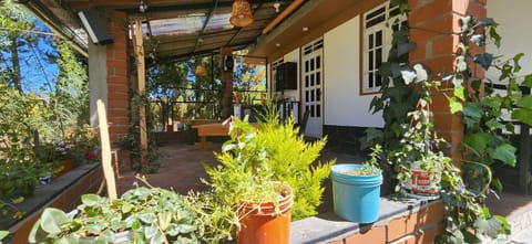 Patio, Garden, Balcony/Terrace