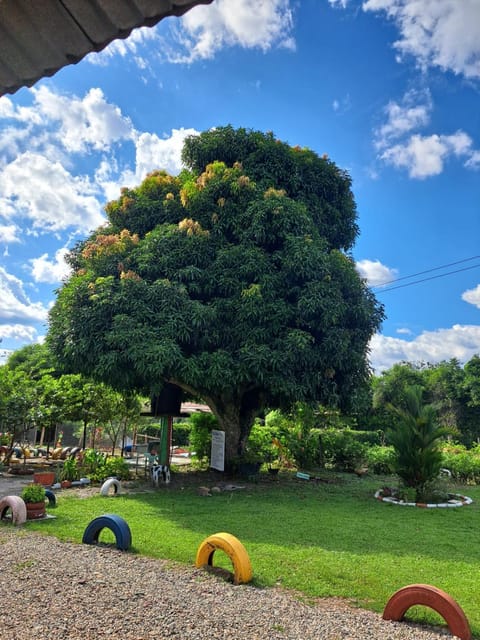 Children play ground, Garden