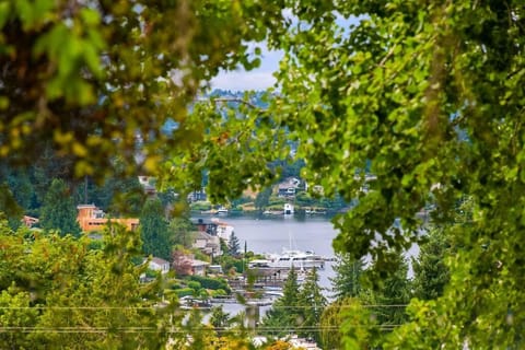 DT Bellevue Hidden Gem With a View & AC House in Mercer Island