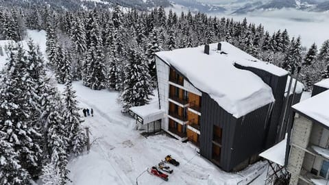 Property building, Day, Natural landscape, Winter, Mountain view, Parking