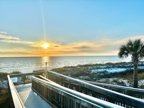 Salty Pelican Casa in Mexico Beach