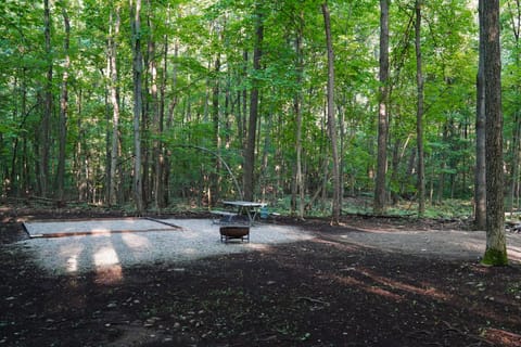 Campsite 1 at Moon Valley Campground Campground/ 
RV Resort in Vernon Township