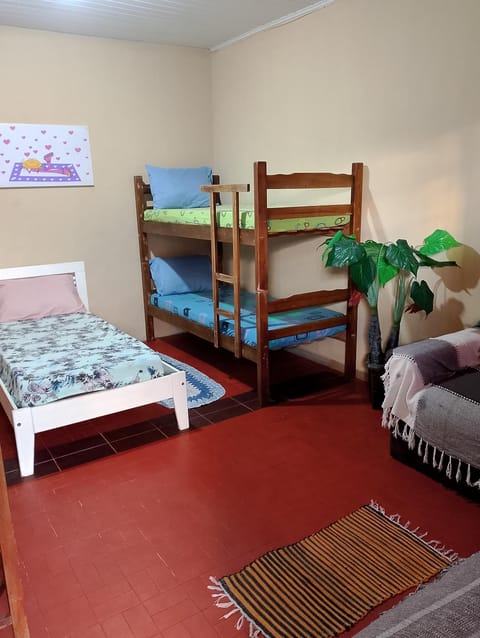 Bed, Photo of the whole room, bunk bed