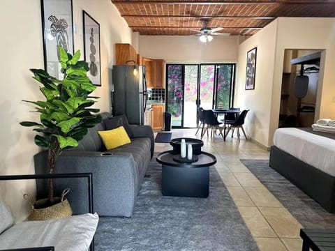 Cozy Studio & Refreshing Pool Apartment in Ajijic