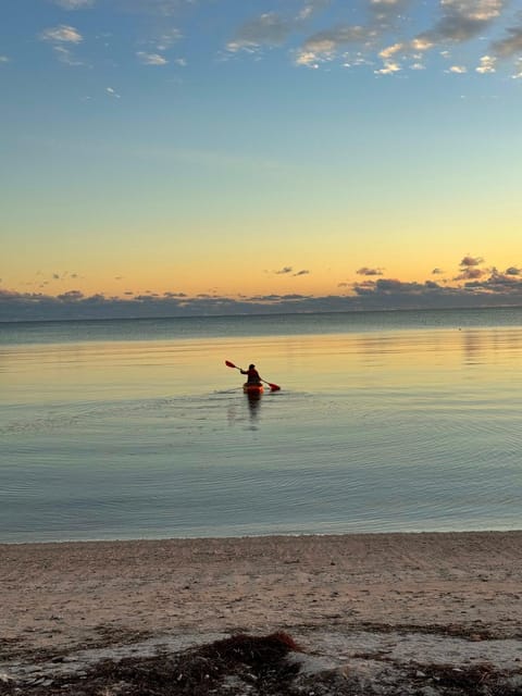 Day, People, Natural landscape, Beach, Sea view, Sunrise, Sunset, children, group of guests