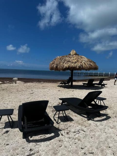 Day, Natural landscape, Beach, Sea view, sunbed