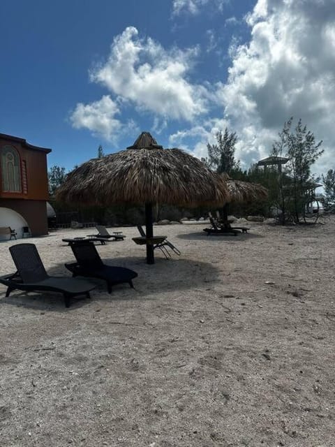 Day, Natural landscape, Beach, sunbed