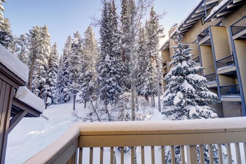 Ten Mile Haus C-9 condo Apartment in Copper Mountain