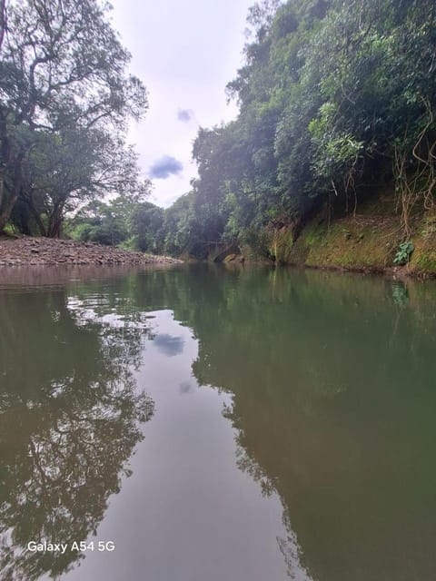 Natural landscape, Lake view, River view