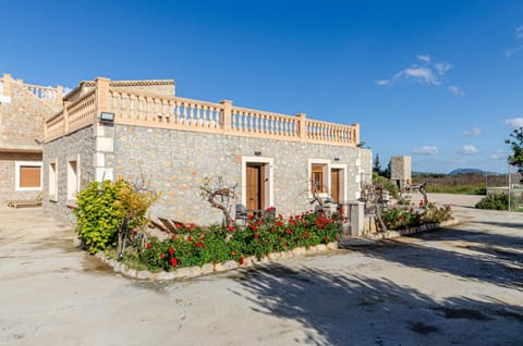 Spring, Garden, Balcony/Terrace