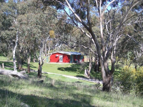 Property building, Day, Natural landscape, Garden, Pets