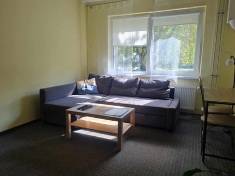 Vyturio Apartmentai Apartment in Klaipėda