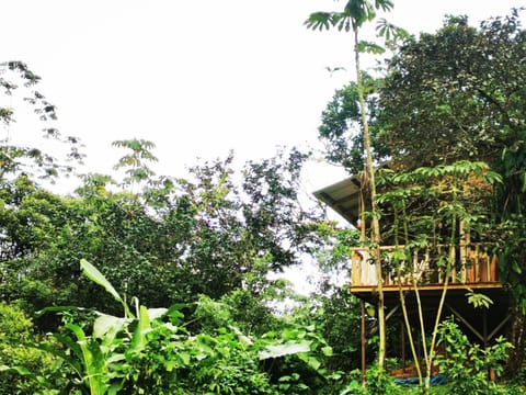 Papaya Lodge House in Alajuela Province