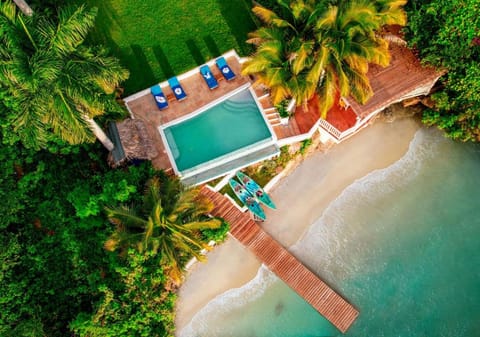 Garden, Pool view, Swimming pool