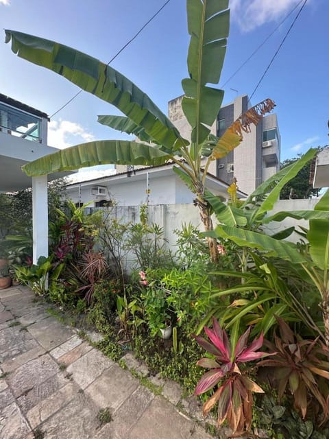 Garden, Garden view