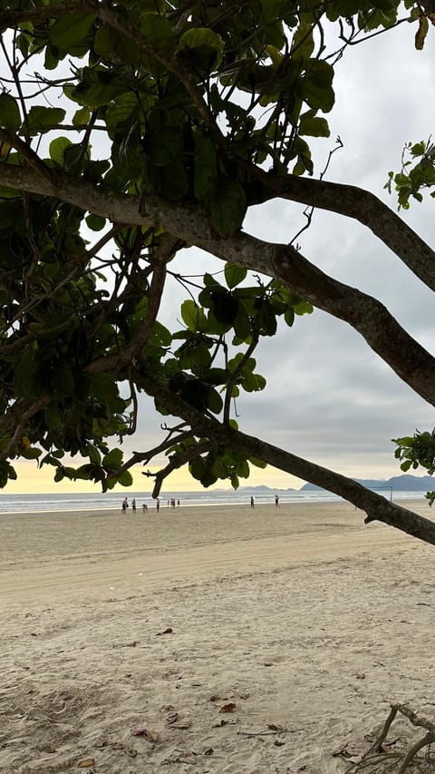 Natural landscape, Beach, Sea view