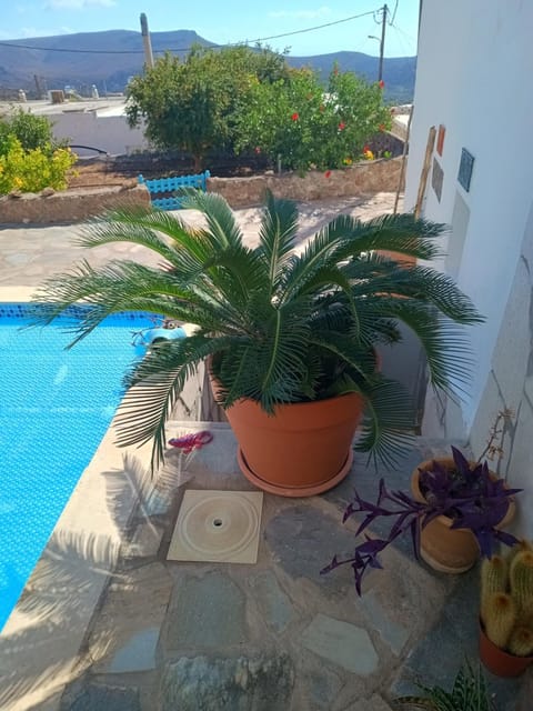 Galini Apartment in Lasithi