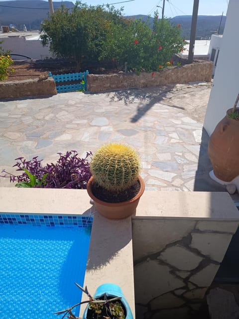 Galini Apartment in Lasithi