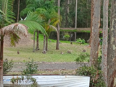 Dybara Park Holiday Cottages House in Barragga Bay