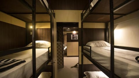 Bed, Photo of the whole room, Bedroom, bunk bed