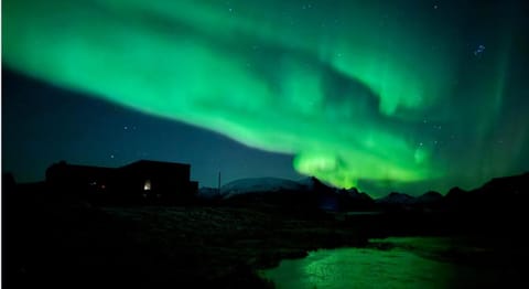 Lofoten luxury with seaview sauna and jacuzzi House in Lofoten