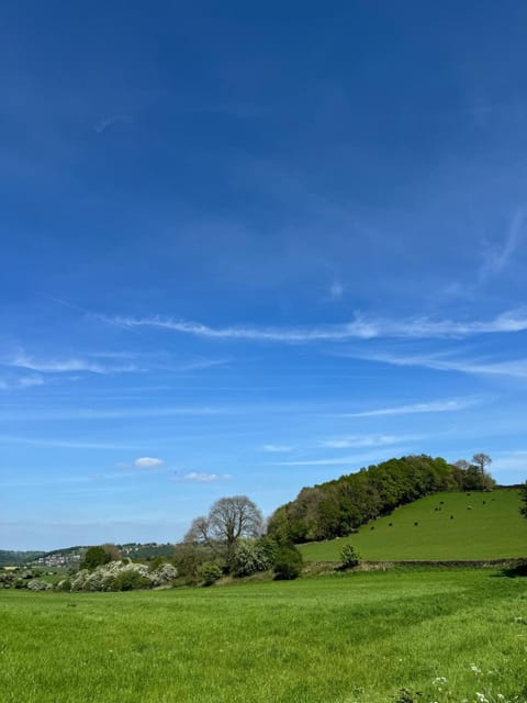 The Bulls Head Bed and Breakfast in Amber Valley