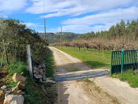 Quinta da pêra rocha Bed and Breakfast in Santarém District, Portugal