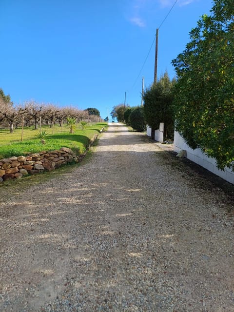 Quinta da pêra rocha Bed and Breakfast in Santarém District, Portugal