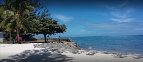 Nearby landmark, Children play ground, Snorkeling, Beach, Sunrise