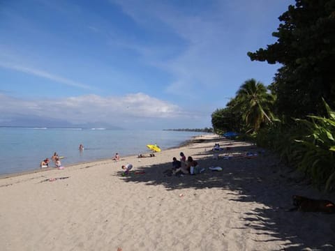 Nearby landmark, Snorkeling, Snorkeling, Beach