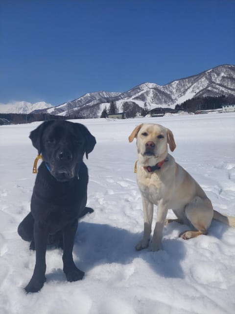 ペンションシルバーファーン Apartment in Hakuba