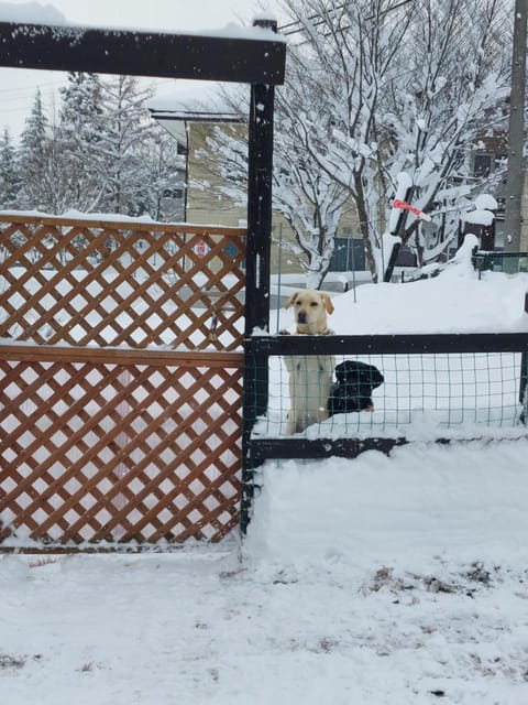 ペンションシルバーファーン Apartment in Hakuba