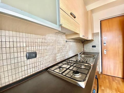 Kitchen or kitchenette, dishwasher, minibar, pet friendly, stove