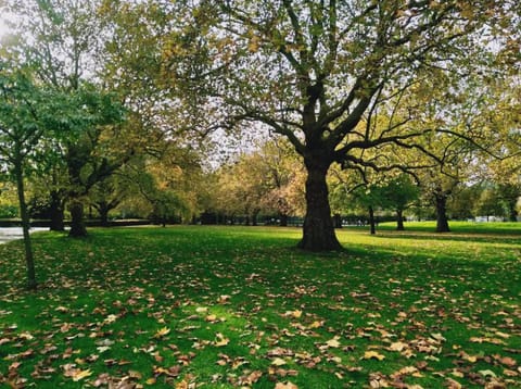 Nearby landmark, Spring, Day, Natural landscape